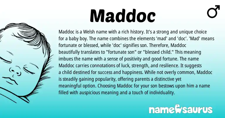 Infographic about Maddoc name meaning, Maddoc is a name from Irish, Welsh origin(s).