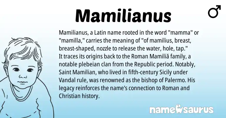 Infographic about Mamilianus name meaning, Mamilianus is a name from Roman, Latin origin(s).