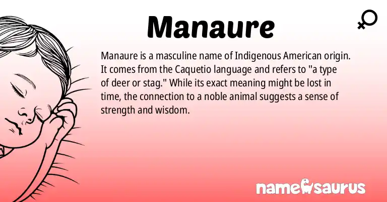 Infographic about Manaure name meaning, Manaure is a name from Indigenous American origin(s).