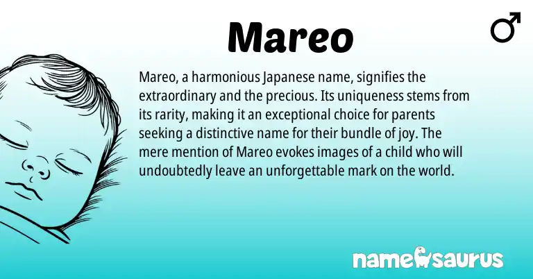 Infographic about Mareo name meaning, Mareo is a name from Japanese origin(s).
