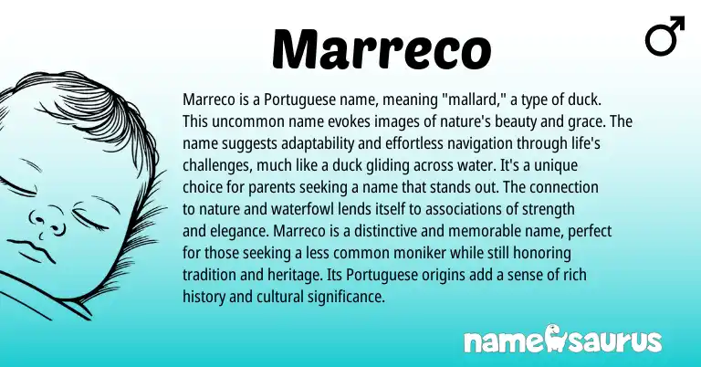 Infographic about Marreco name meaning, Marreco is a name from Portuguese origin(s).