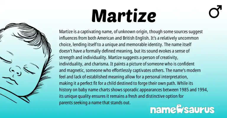 Infographic about Martize name meaning, Martize is a name from Other origin(s).