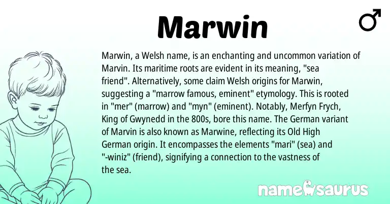 Infographic about Marwin name meaning, Marwin is a name from Old High German, German, Welsh origin(s).