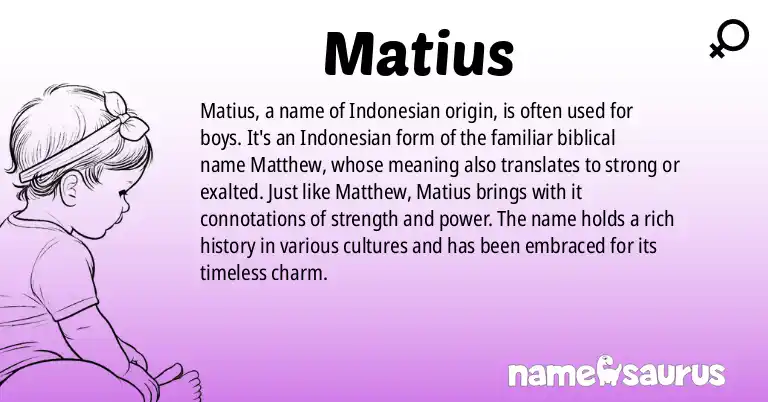 Infographic about Matius name meaning, Matius is a name from Indonesian origin(s).