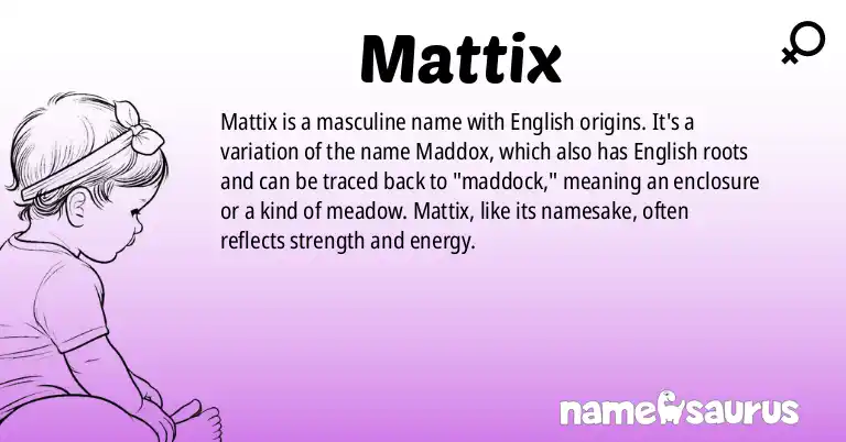 Infographic about Mattix name meaning, Mattix is a name from English origin(s).