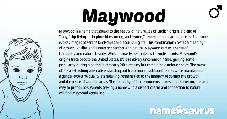 Infographic about Maywood name meaning, Maywood is a name from English origin(s).