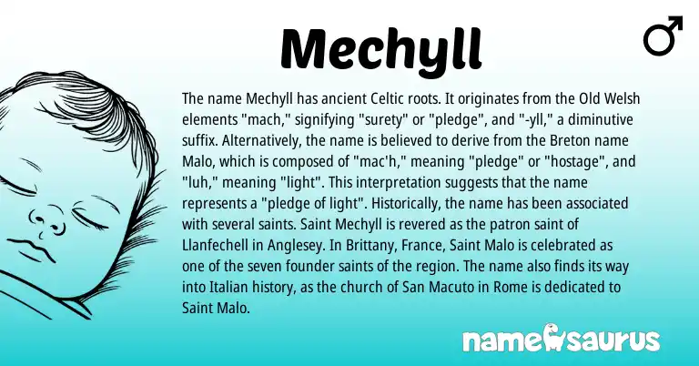 Infographic about Mechyll name meaning, Mechyll is a name from Old Welsh, Celtic, Italian, Breton origin(s).