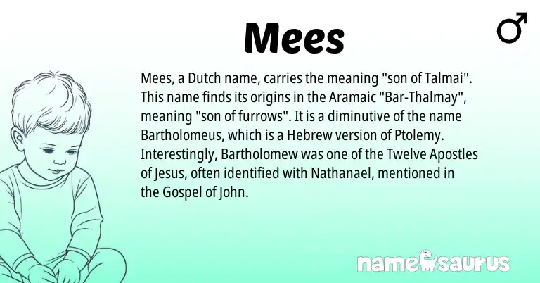 Infographic about Mees name meaning, Mees is a name from Aramaic, Dutch, Hebrew origin(s).