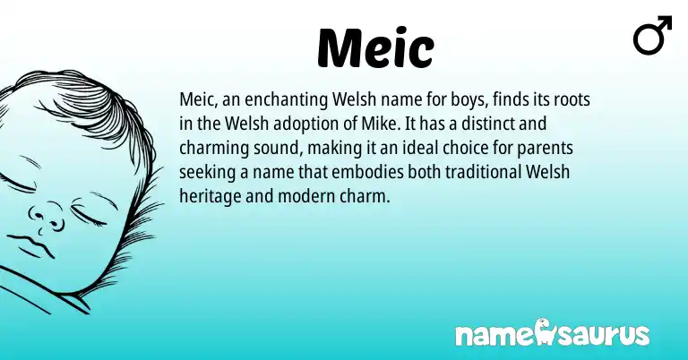 Infographic about Meic name meaning, Meic is a name from Welsh origin(s).