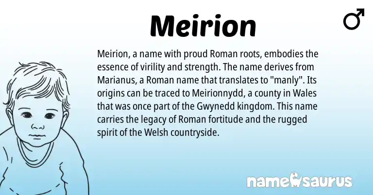 Infographic about Meirion name meaning, Meirion is a name from Roman, Welsh origin(s).
