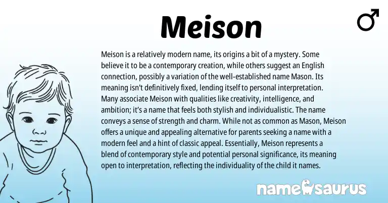 Infographic about Meison name meaning, Meison is a name from Other origin(s).