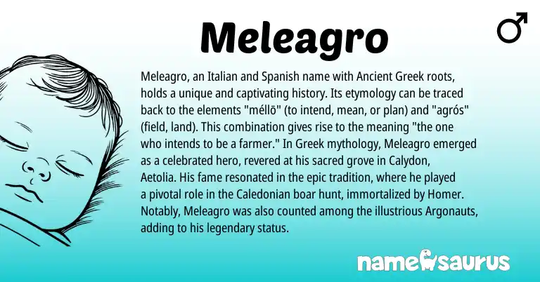 Infographic about Meleagro name meaning, Meleagro is a name from Spanish, Ancient Greek, Greek, Italian origin(s).