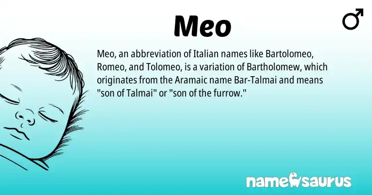 Infographic about Meo name meaning, Meo is a name from Aramaic, Italian origin(s).
