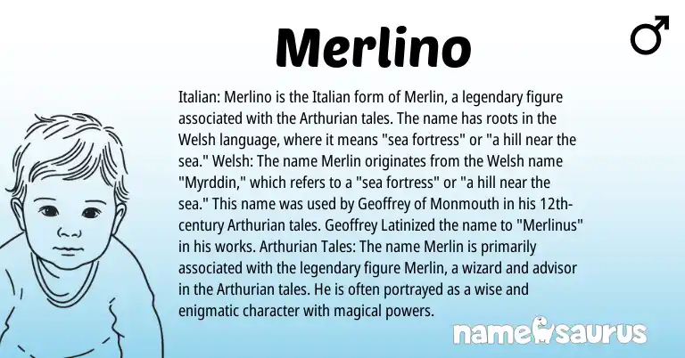 Infographic about Merlino name meaning, Merlino is a name from Welsh, Arthurian, Italian origin(s).