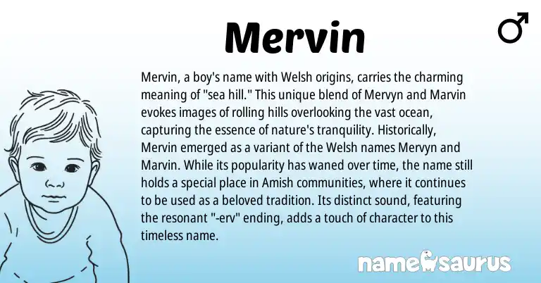 Infographic about Mervin name meaning, Mervin is a name from Welsh origin(s).