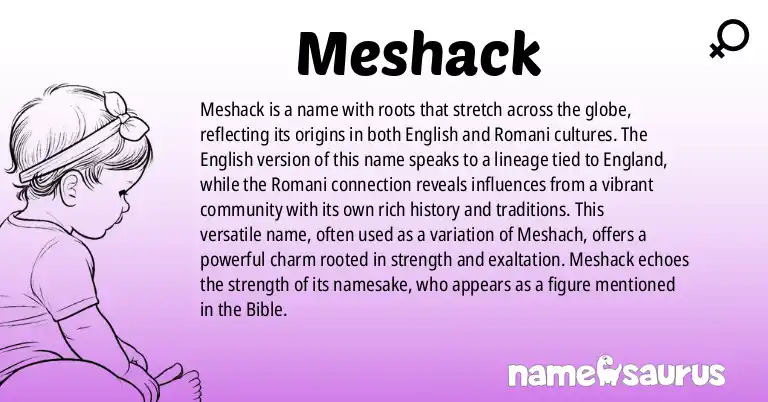 Infographic about Meshack name meaning, Meshack is a name from English (African), Romani origin(s).