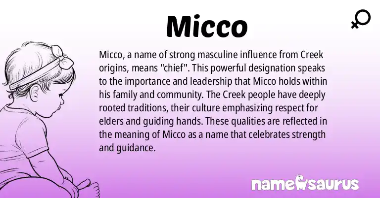 Infographic about Micco name meaning, Micco is a name from Creek origin(s).