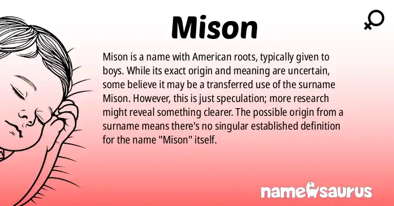 Infographic about Mison name meaning, Mison is a name from American origin(s).