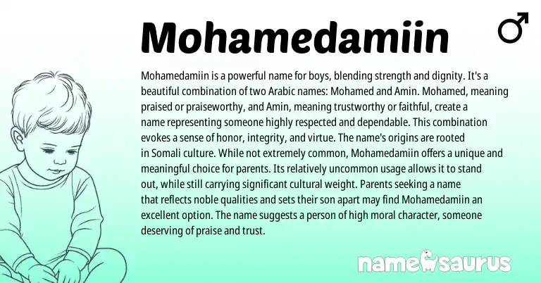 Infographic about Mohamedamiin name meaning, Mohamedamiin is a name from Arabic origin(s).