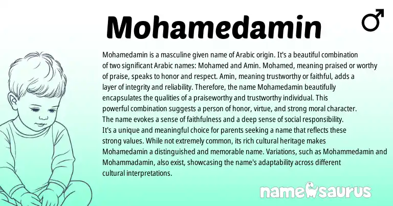 Infographic about Mohamedamin name meaning, Mohamedamin is a name from Arabic origin(s).