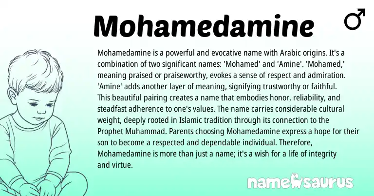 Infographic about Mohamedamine name meaning, Mohamedamine is a name from Arabic origin(s).
