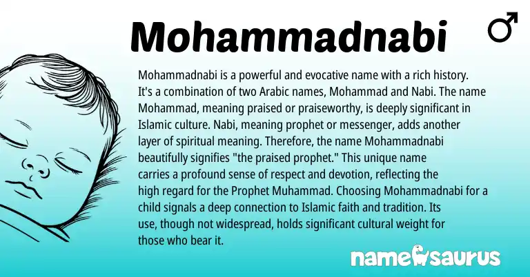 Infographic about Mohammadnabi name meaning, Mohammadnabi is a name from Arabic origin(s).