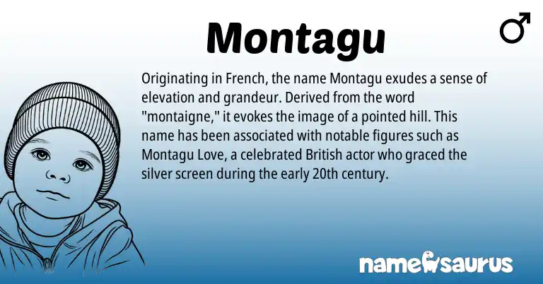Infographic about Montagu name meaning, Montagu is a name from British, French origin(s).