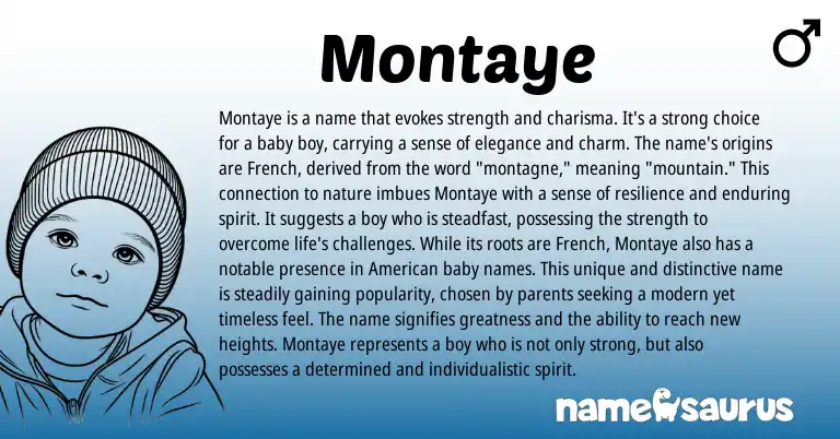 Infographic about Montaye name meaning, Montaye is a name from French origin(s).