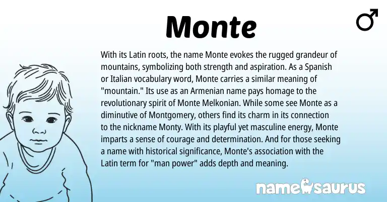 Infographic about Monte name meaning, Monte is a name from Spanish, Armenian, Latin, Italian origin(s).
