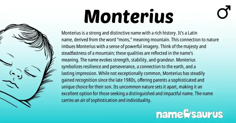 Infographic about Monterius name meaning, Monterius is a name from Latin, English origin(s).