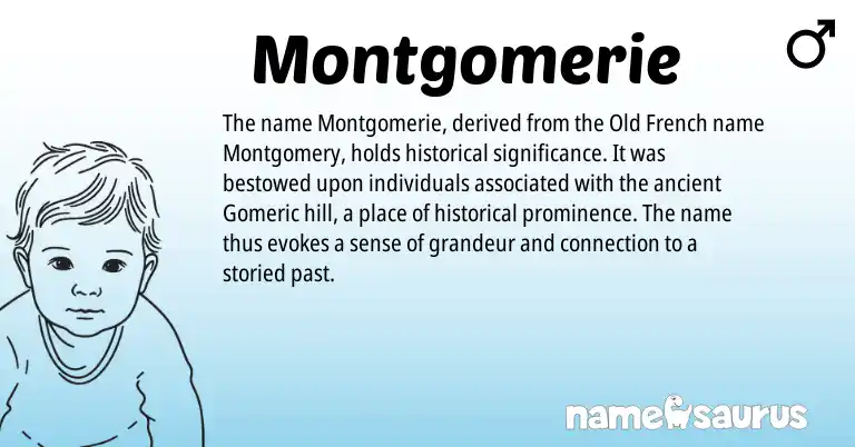 Infographic about Montgomerie name meaning, Montgomerie is a name from Old French origin(s).