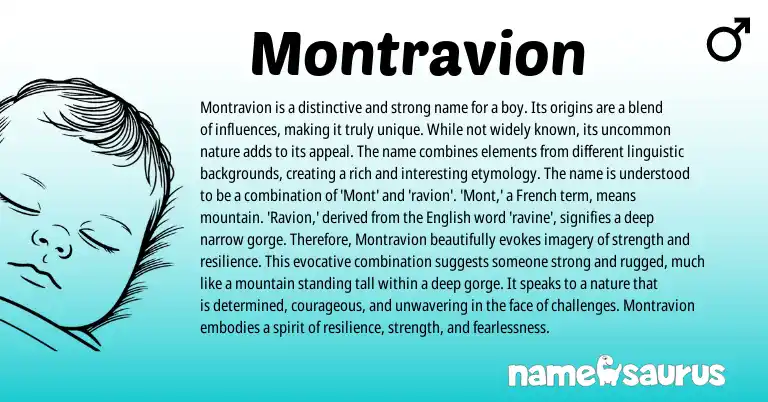 Infographic about Montravion name meaning, Montravion is a name from French, English origin(s).