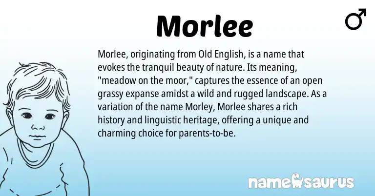 Infographic about Morlee name meaning, Morlee is a name from Old English origin(s).