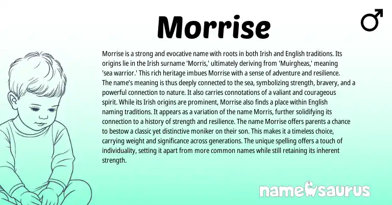 Infographic about Morrise name meaning, Morrise is a name from Irish origin(s).