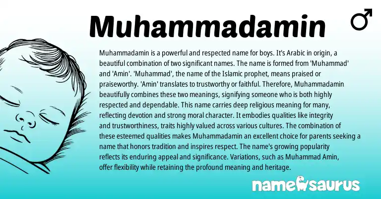 Infographic about Muhammadamin name meaning, Muhammadamin is a name from Arabic origin(s).