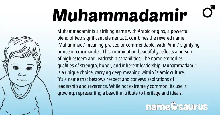 Infographic about Muhammadamir name meaning, Muhammadamir is a name from Arabic origin(s).