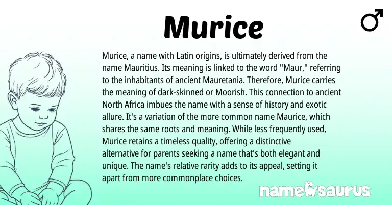 Infographic about Murice name meaning, Murice is a name from Latin origin(s).