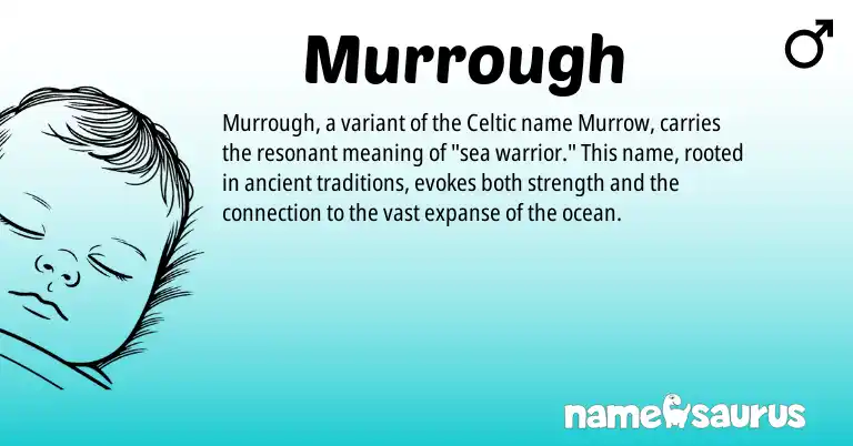 Infographic about Murrough name meaning, Murrough is a name from Celtic origin(s).