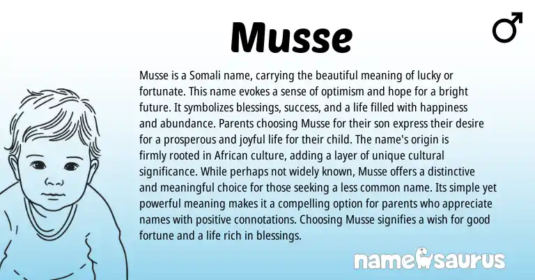 Infographic about Musse name meaning, Musse is a name from Somali origin(s).
