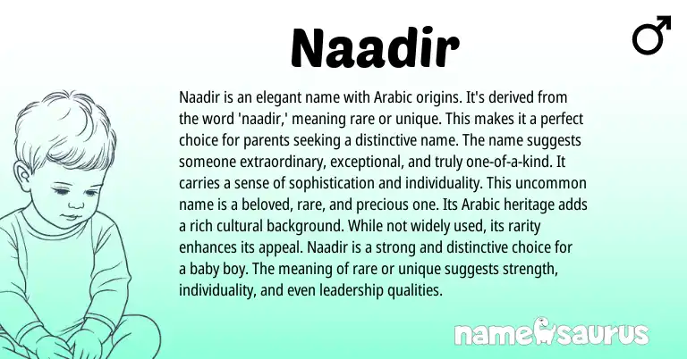 Infographic about Naadir name meaning, Naadir is a name from Arabic origin(s).