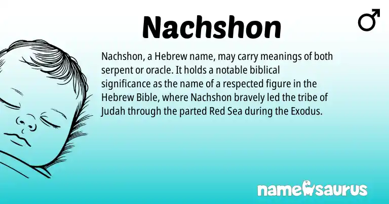 Infographic about Nachshon name meaning, Nachshon is a name from Hebrew origin(s).