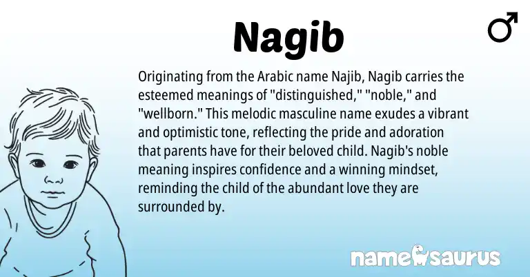 Infographic about Nagib name meaning, Nagib is a name from Arabic origin(s).