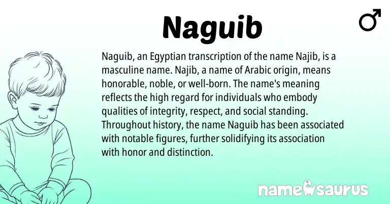 Infographic about Naguib name meaning, Naguib is a name from Egyptian, Arabic origin(s).