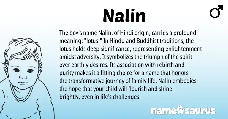 Infographic about Nalin name meaning, Nalin is a name from Hindi, Hindu origin(s).