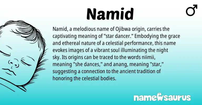 Infographic about Namid name meaning, Namid is a name from Ojibwa origin(s).