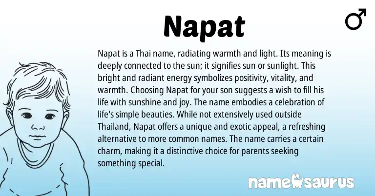 Infographic about Napat name meaning, Napat is a name from Thai origin(s).