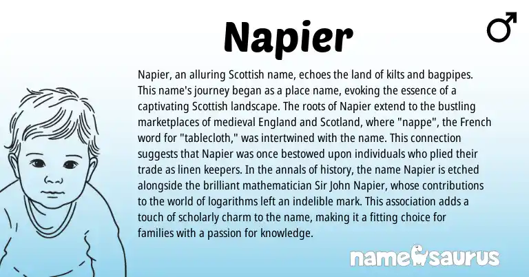 Infographic about Napier name meaning, Napier is a name from French, Scottish, England origin(s).