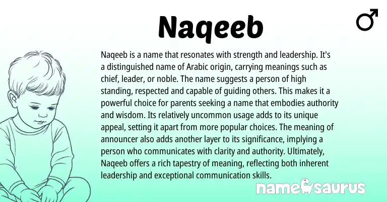 Infographic about Naqeeb name meaning, Naqeeb is a name from Arabic origin(s).