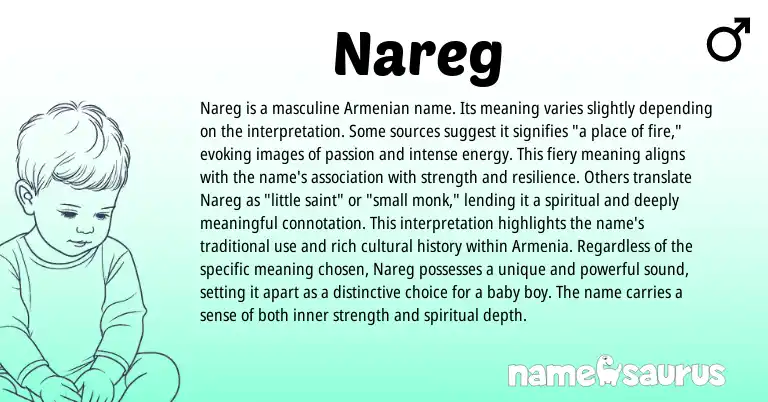 Infographic about Nareg name meaning, Nareg is a name from Armenian origin(s).