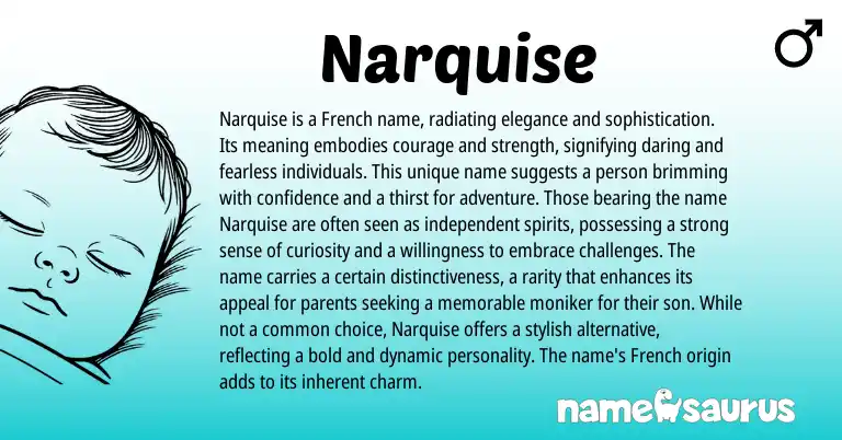 Infographic about Narquise name meaning, Narquise is a name from French origin(s).